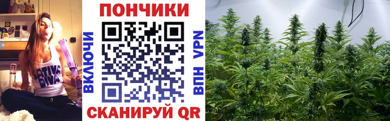 Шишки марихуана марихуана Артём